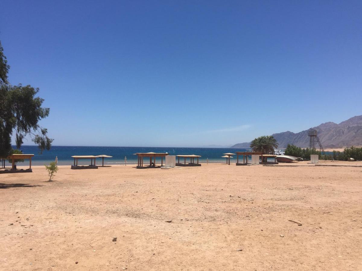 Deluxe Seahorse Apartment Dahab Exterior foto